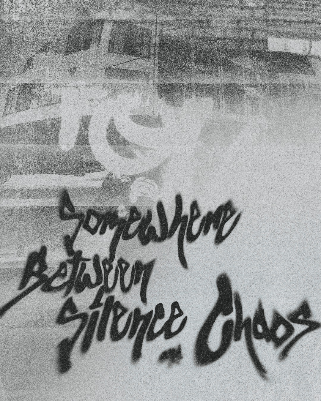 Poster Somewhere between Silence and Chaos